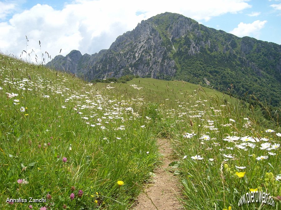 27 In prossimità del passo, il Monte Venturosa.JPG